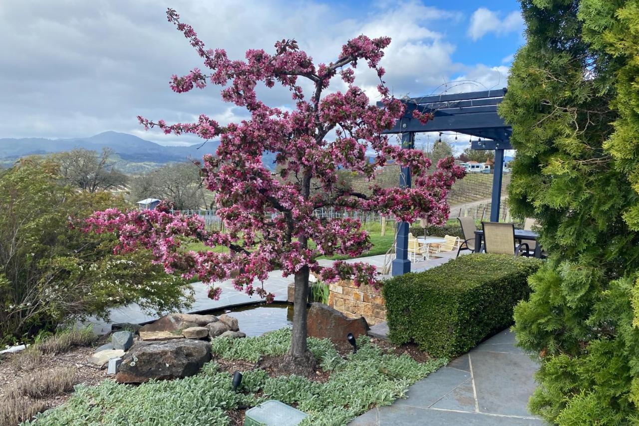 Alexander Valley Retreat Healdsburg Exteriér fotografie