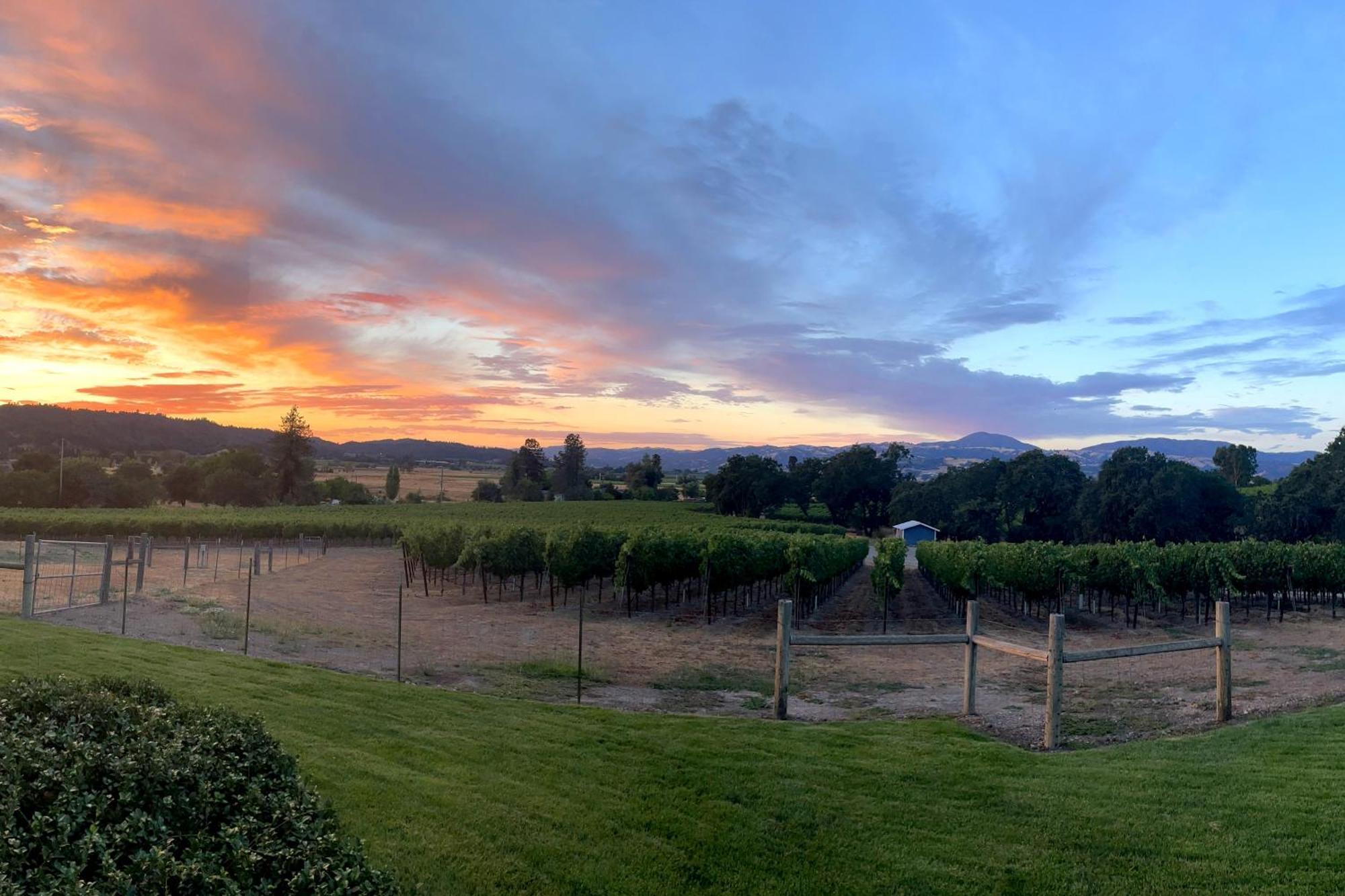 Alexander Valley Retreat Healdsburg Exteriér fotografie